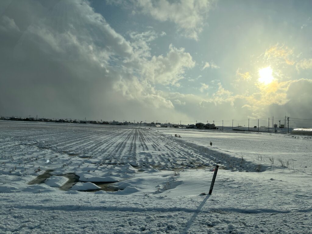 雪景色