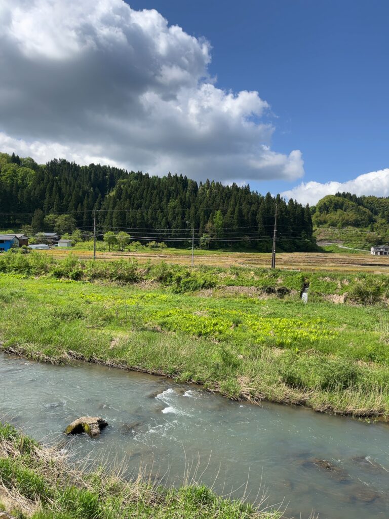 自然が人に与える効果 訪問看護おはぎ 田上町 加茂市 三条市