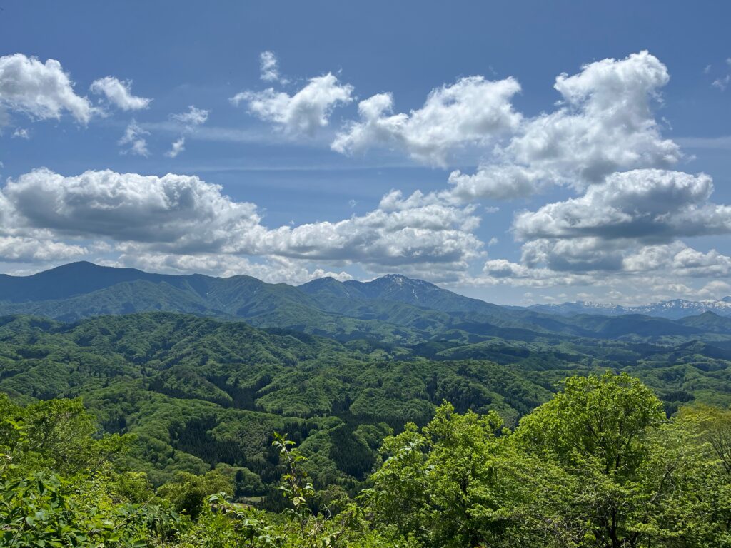 頂上からの景色